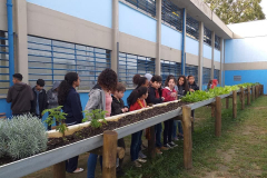 Em Salesopolis (SP), a escola EE Professora Olga Chakur Farah celebrou o Dia Mundial do Meio Ambiente com a ação "Salvar a nossa casa", em que alunos do 6º ano plantarm e cuidaram das plantas da escola